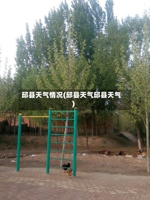 邱县天气情况(邱县天气邱县天气)-第3张图片
