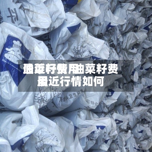 油菜籽费用
最近行情/油菜籽费用
最近行情如何-第3张图片
