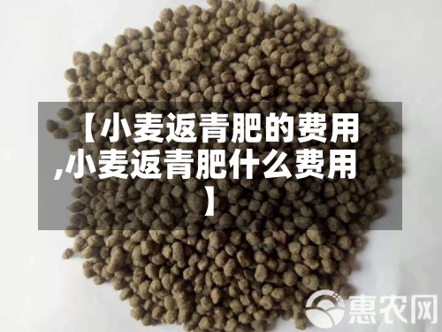 【小麦返青肥的费用,小麦返青肥什么费用】