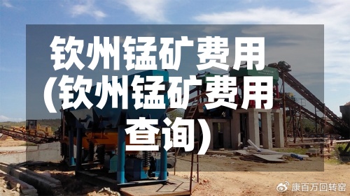 钦州锰矿费用
(钦州锰矿费用
查询)