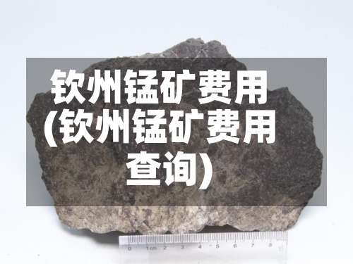 钦州锰矿费用
(钦州锰矿费用
查询)-第3张图片