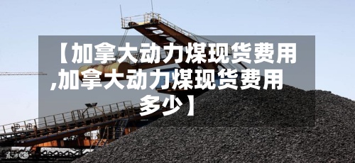 【加拿大动力煤现货费用
,加拿大动力煤现货费用
多少】-第2张图片