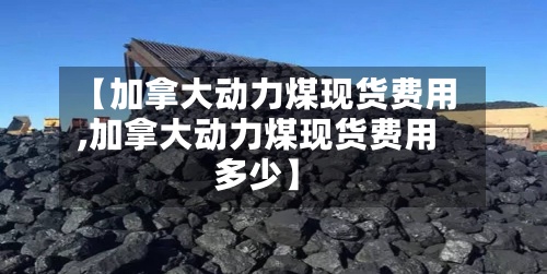【加拿大动力煤现货费用
,加拿大动力煤现货费用
多少】