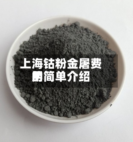 上海钴粉金屠费用
的简单介绍