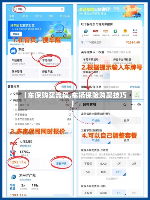 【车保购买流程,车辆保险购买技巧】-第2张图片