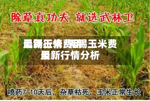 无锡玉米费用
最新行情/无锡玉米费用
最新行情分析-第2张图片