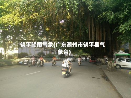 饶平降雨气象(广东潮州市饶平县气象台)