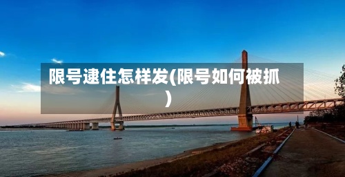 限号逮住怎样发(限号如何被抓)