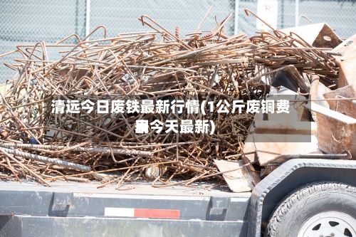 清远今日废铁最新行情(1公斤废铜费用
表今天最新)-第2张图片