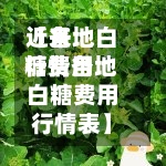 近来
【各地白糖费用
行情各地白糖费用
行情表】-第3张图片