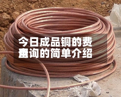 今日成品铜的费用
查询的简单介绍-第3张图片