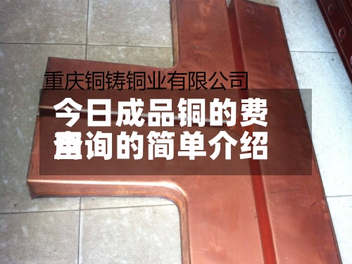 今日成品铜的费用
查询的简单介绍-第2张图片