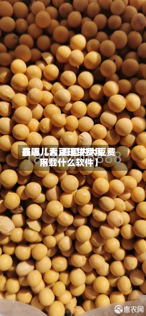 最近【大豆现货费用在哪儿看,看国内大豆费用下载什么软件】
