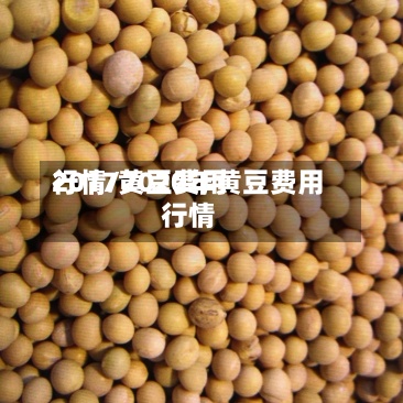 2017黄豆费用
行情/2020年黄豆费用
行情