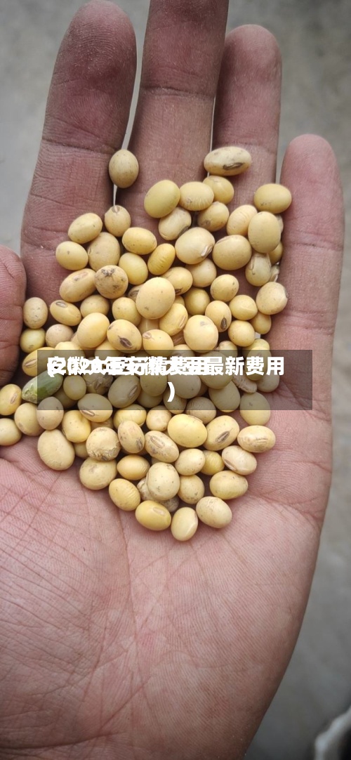安徽大豆行情费用
(2020年安徽大豆最新费用
)