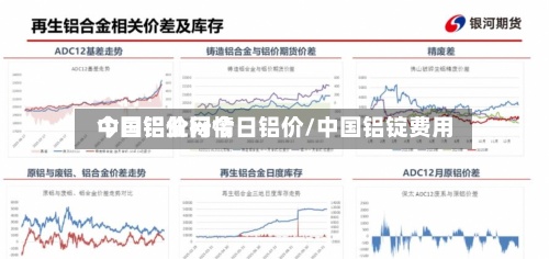 中国铝业网今日铝价/中国铝锭费用
今日铝价行情-第3张图片
