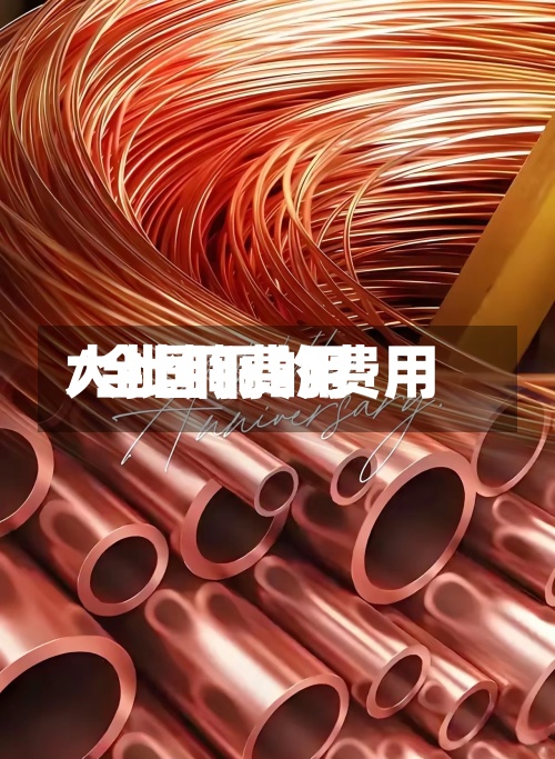 大批铜费用
/全国铜的费用
-第3张图片