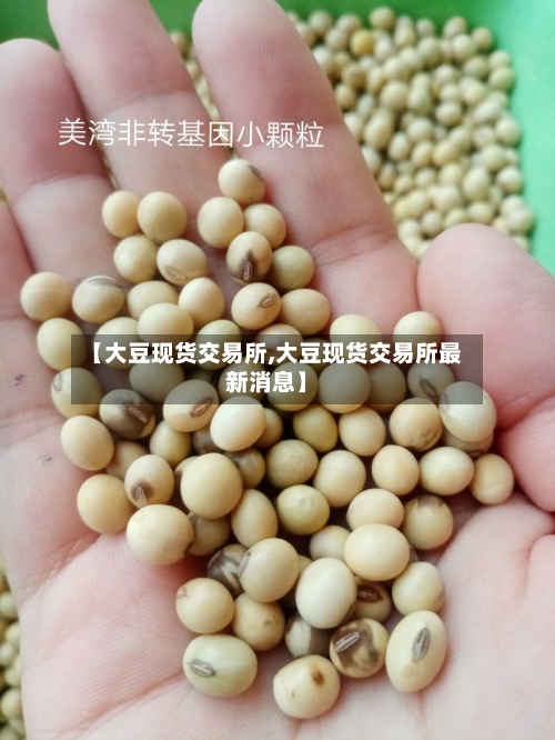 【大豆现货交易所,大豆现货交易所最新消息】-第3张图片
