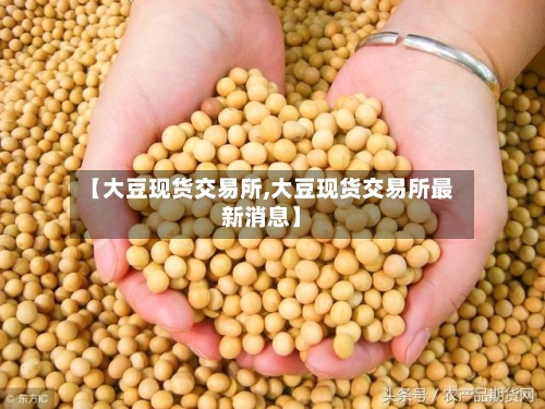 【大豆现货交易所,大豆现货交易所最新消息】-第2张图片