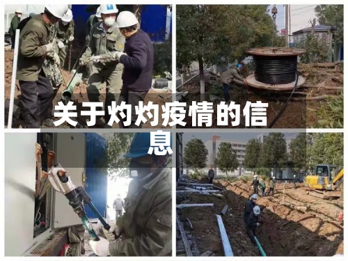 关于灼灼疫情的信息