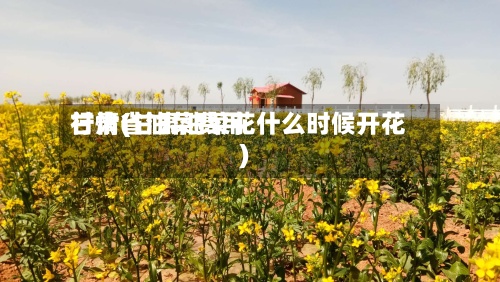 甘肃省油菜费用
行情(甘肃油菜花什么时候开花)-第2张图片
