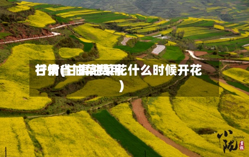 甘肃省油菜费用
行情(甘肃油菜花什么时候开花)