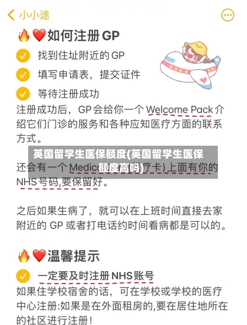 英国留学生医保额度(英国留学生医保额度高吗)-第2张图片