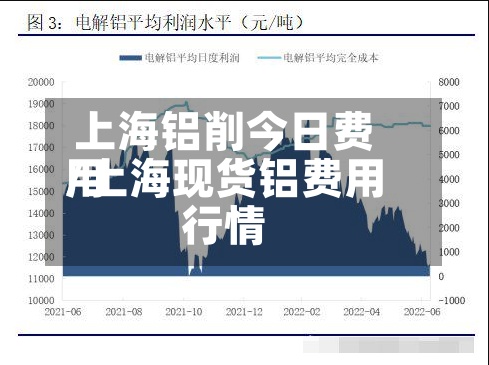 上海铝削今日费用/上海现货铝费用行情