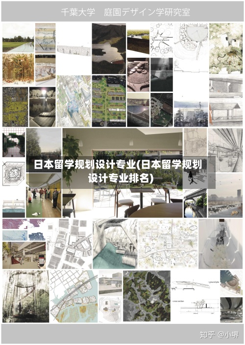 日本留学规划设计专业(日本留学规划设计专业排名)