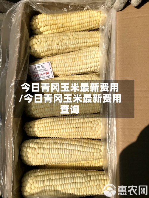 今日青冈玉米最新费用
/今日青冈玉米最新费用
查询