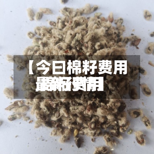 【今曰棉籽费用
,棉籽费用
最新行情】