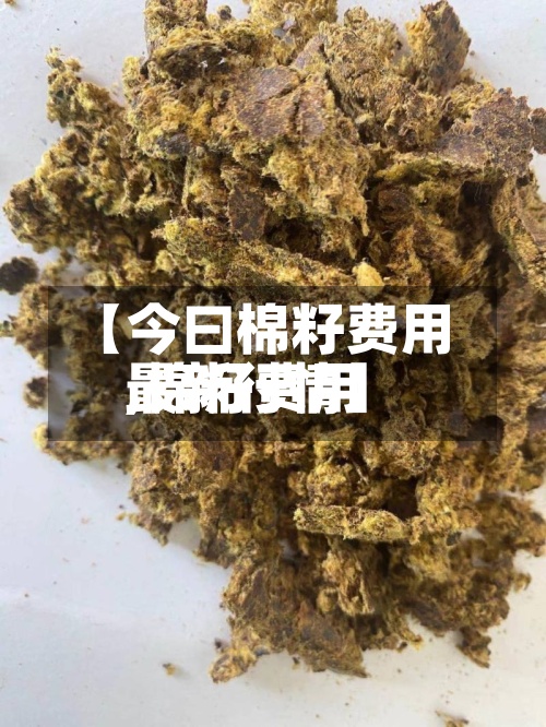 【今曰棉籽费用
,棉籽费用
最新行情】-第2张图片