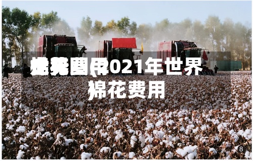世界
棉花费用
走势图(2021年世界
棉花费用
)
