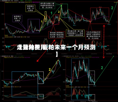 【豆粕费用
走势分析,豆粕未来一个月预测】-第2张图片