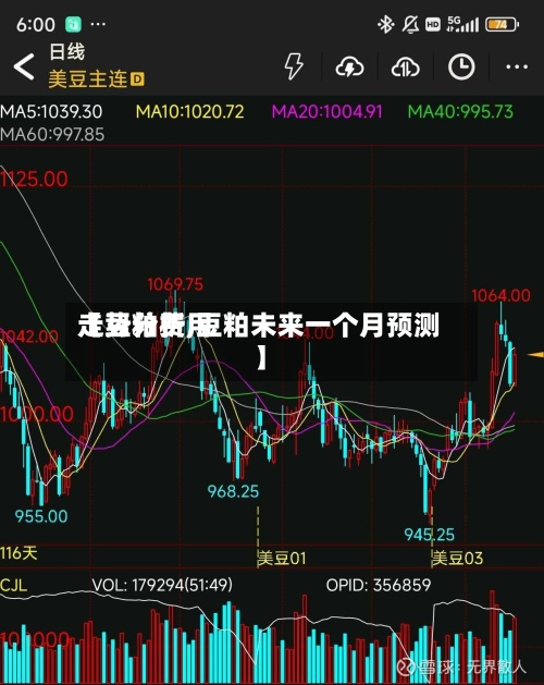 【豆粕费用走势分析,豆粕未来一个月预测】