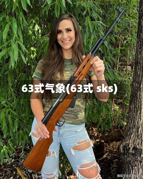 63式气象(63式 sks)