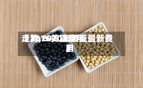 【2016黄豆费用
走势,2020年黄豆最新费用
】