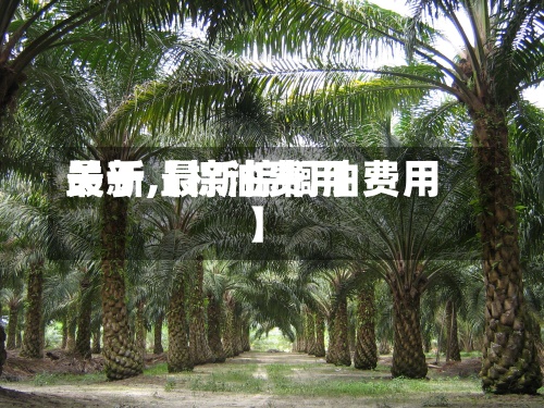 关于【棕油费用
最新,最新棕榈油费用
】-第3张图片