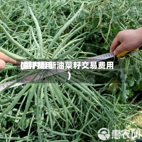 油籽费用
(国内最新油菜籽交易费用
)