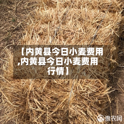 【内黄县今日小麦费用
,内黄县今日小麦费用
行情】