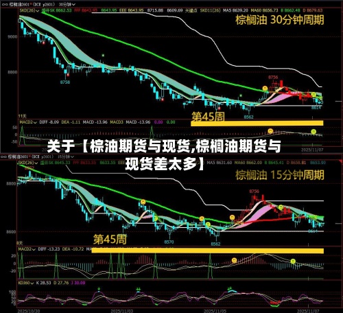 关于【棕油期货与现货,棕榈油期货与现货差太多】-第3张图片