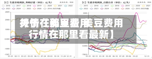关于【美豆费用
行情在那里看,美豆费用
行情在那里看最新】