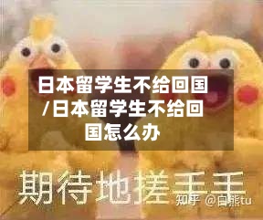日本留学生不给回国/日本留学生不给回国怎么办-第2张图片