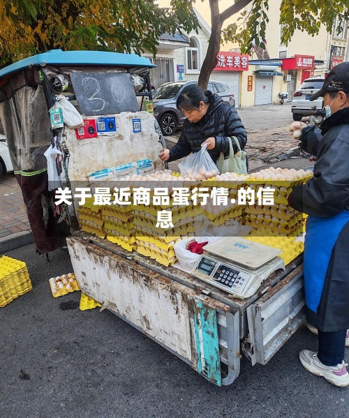 关于最近商品蛋行情.的信息
