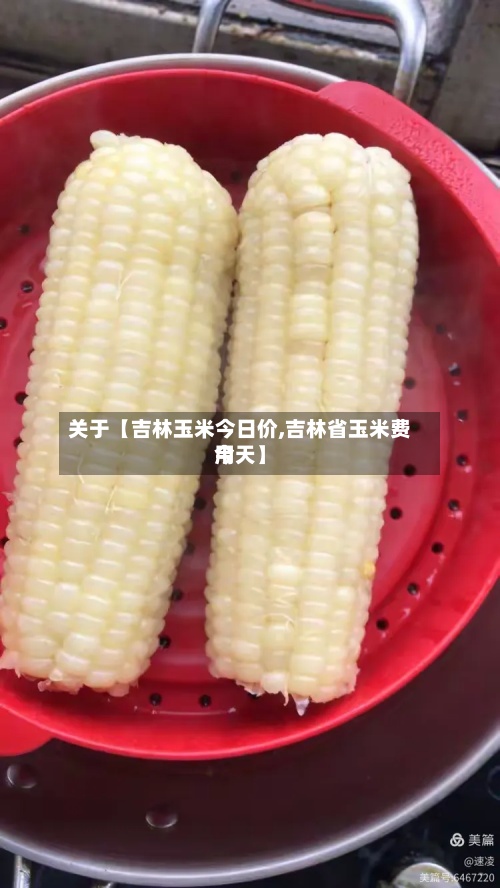 关于【吉林玉米今日价,吉林省玉米费用
今天】
