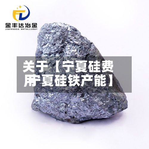 关于【宁夏硅费用,宁夏硅铁产能】