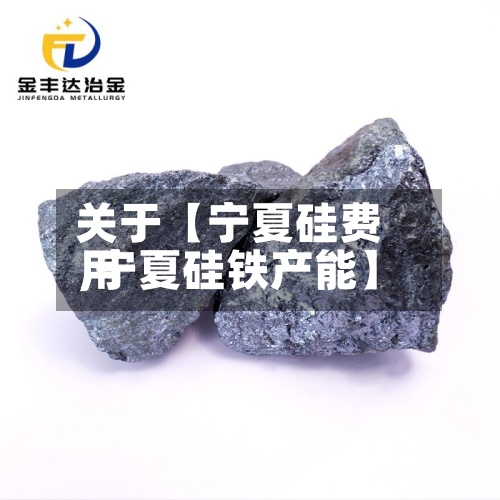 关于【宁夏硅费用
,宁夏硅铁产能】-第2张图片