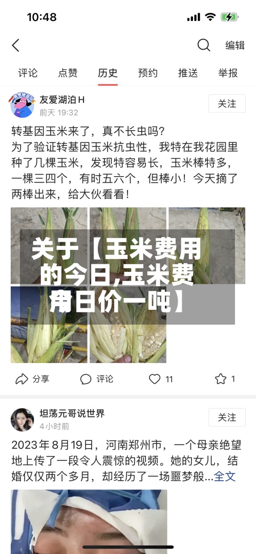 关于【玉米费用
的今日,玉米费用
今日价一吨】