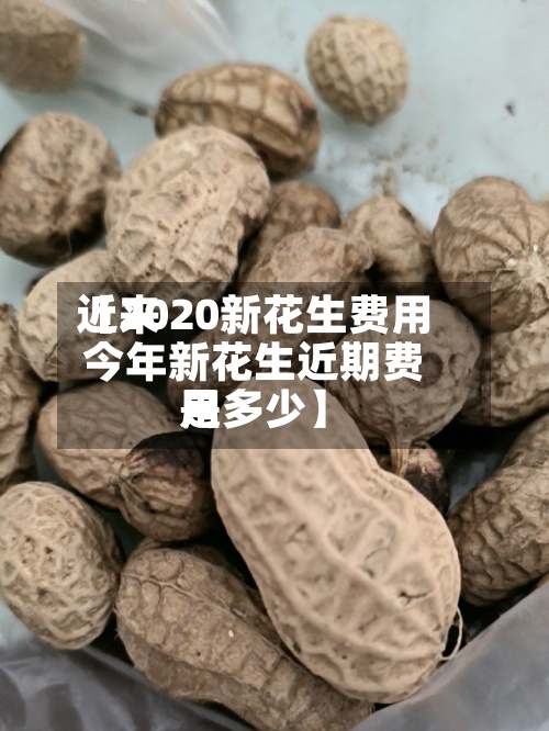 近来【2020新花生费用今年新花生近期费用是多少】