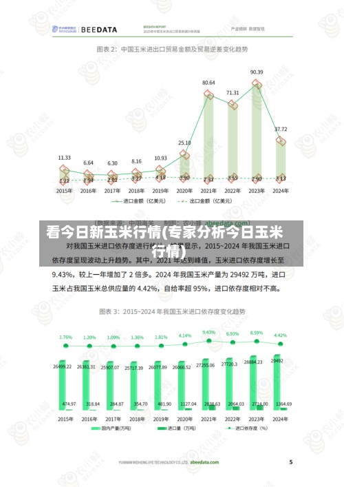 看今日新玉米行情(专家分析今日玉米行情)